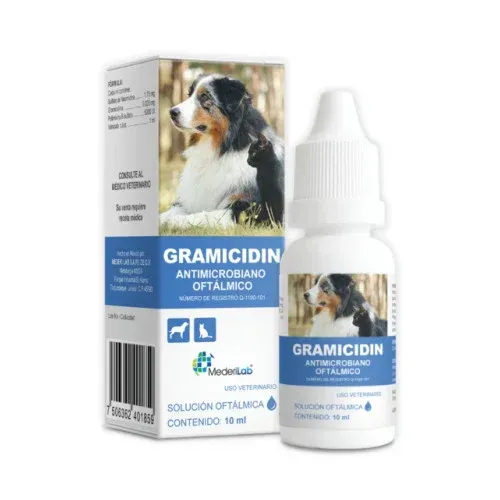 GRAMICIDIN