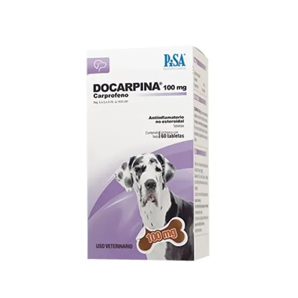 DOCARPINA 100MG PISA