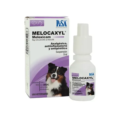 MELOCAXYL ORAL 10ML PISA