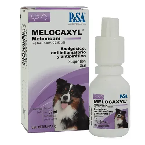 MELOCAXYL ORAL 10ML PISA 2