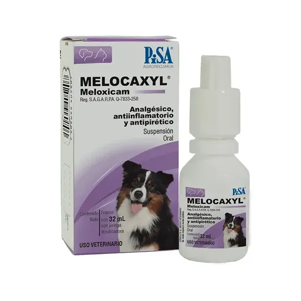 MELOCAXYL ORAL 32ML PISA
