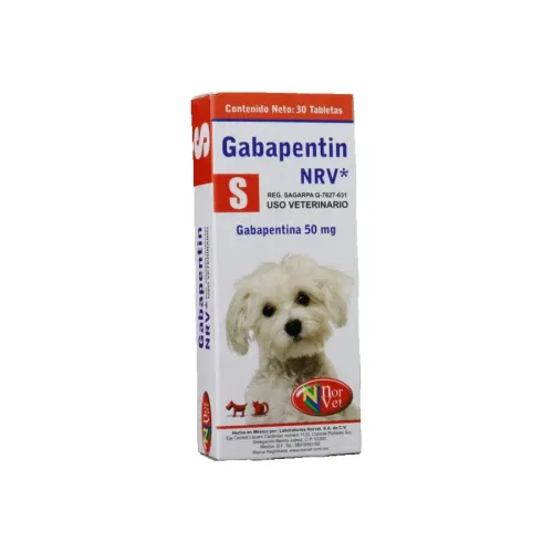 GABAPENTIN S NORVET