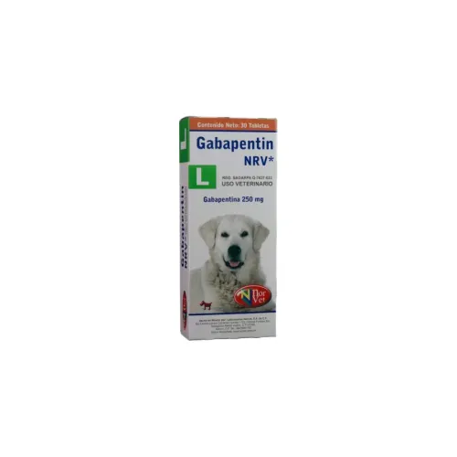 GABAPENTIN L NORVET
