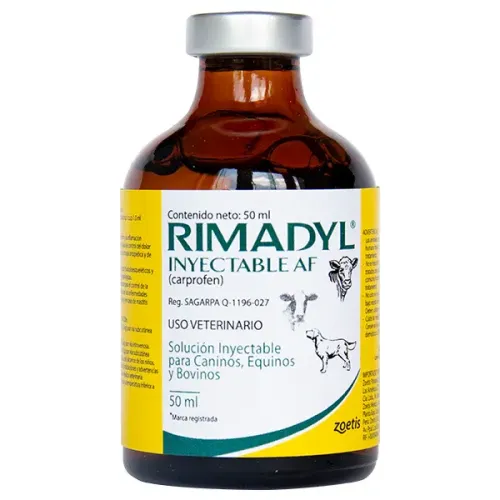 RIMADYL INYECTABLE AF ZOETIS