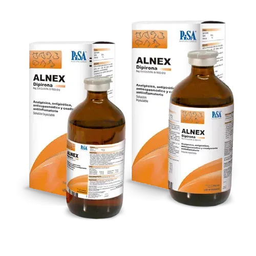 ALNEX PISA