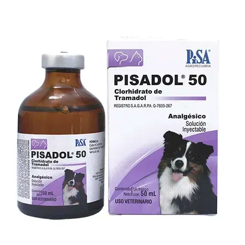 PISADOL 20 INYECTABLE PISA 2