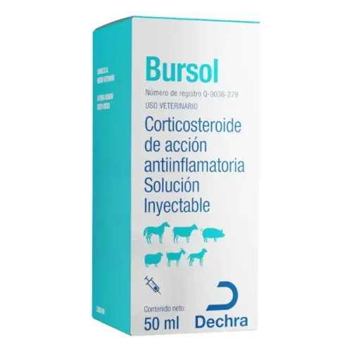 BURSOL DECHRA