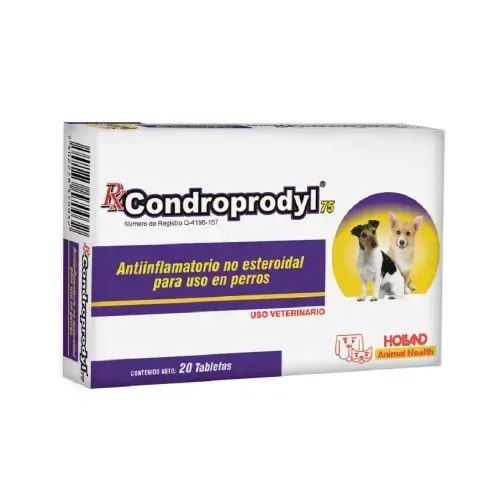 CONDROPRODYL 25 HOLLAND 2
