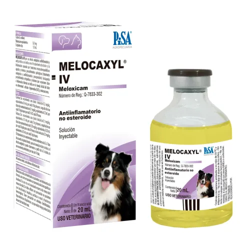 MELOCAXYL IV PISA
