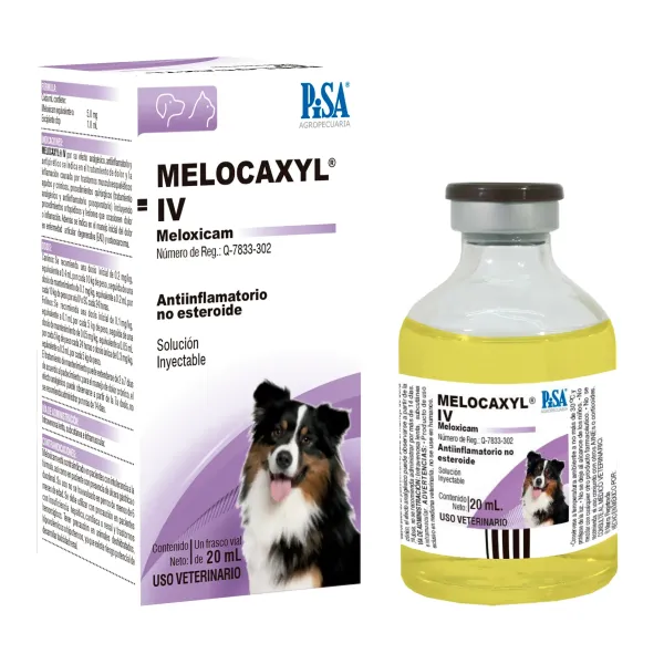 MELOCAXYL IV PISA