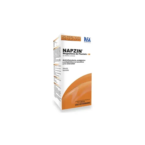 NAPZIN PISA