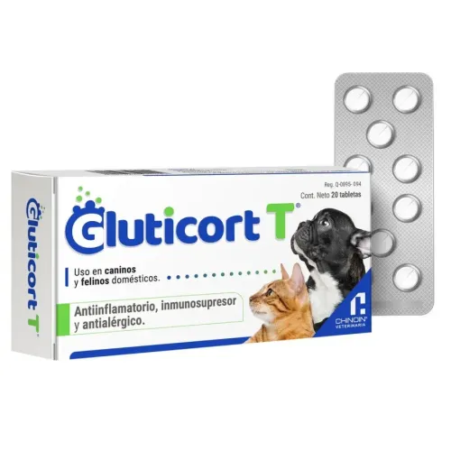 GLUTICORT T CHINOIN