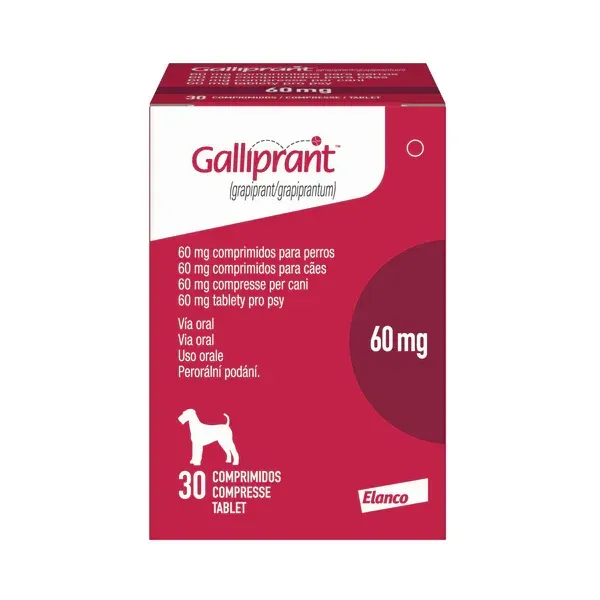 GALLIPRANT 60MG ELANCO