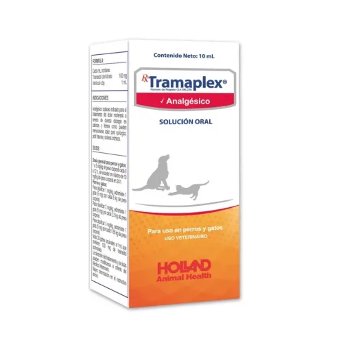 TRAMAPLEX HOLLAND