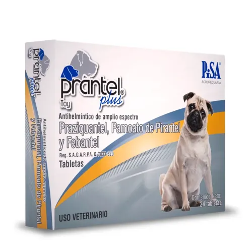 PRANTEL PLUS TOY PISA