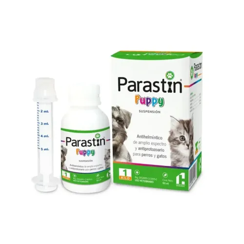 PARASTIN PUPPY CHINOIN