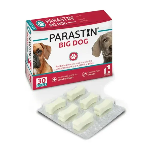 PARASTIN BIG DOG CHINOIN