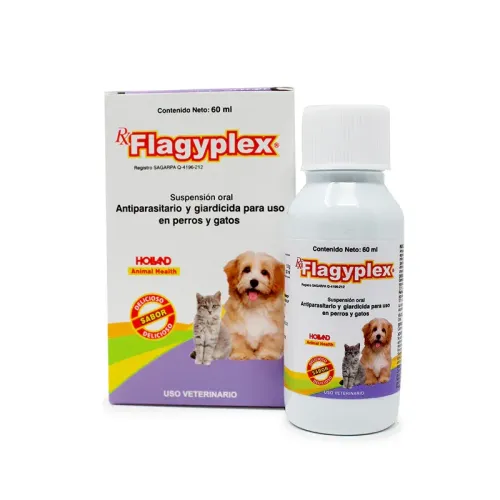 FLAGYPLEX HOLLAND