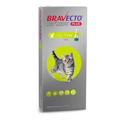 BRAVECTO PLUS CAT PIPETA MSD 2