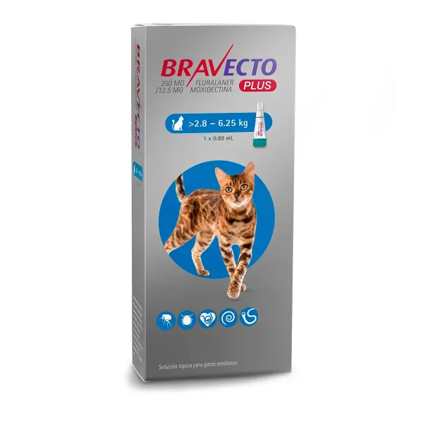 BRAVECTO PLUS CAT PIPETA 250MG