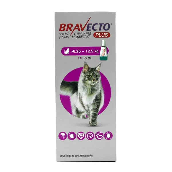 BRAVECTO PLUS CAT PIPETA 500MG