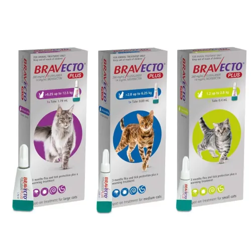 BRAVECTO PLUS CAT PIPETA MSD
