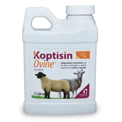 KOPTISIN OVINE 100ML CHINOIN 2