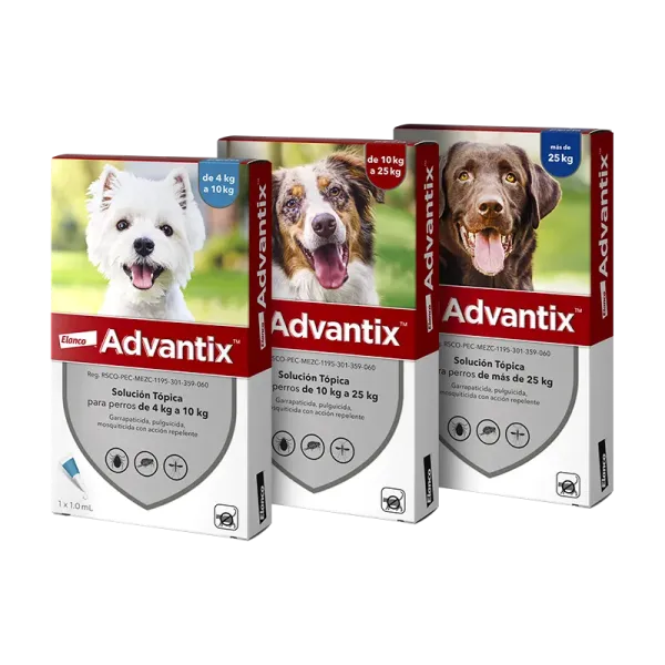 ADVANTIX ELANCO