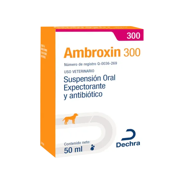 AMBROXIN 300