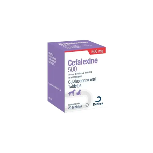 CEFALEXINE 500