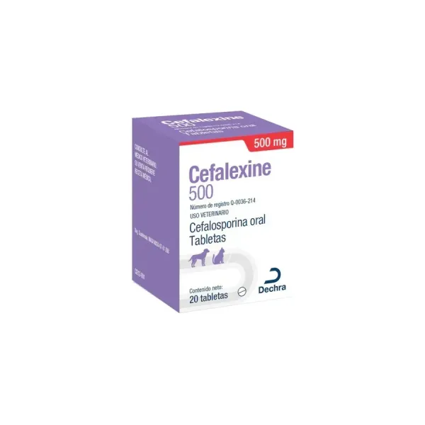 CEFALEXINE 500