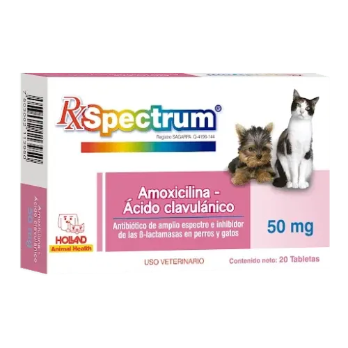 SPECTRUM AMOXICILINA ÁCIDO-CLAVULÁNICO 50 MG