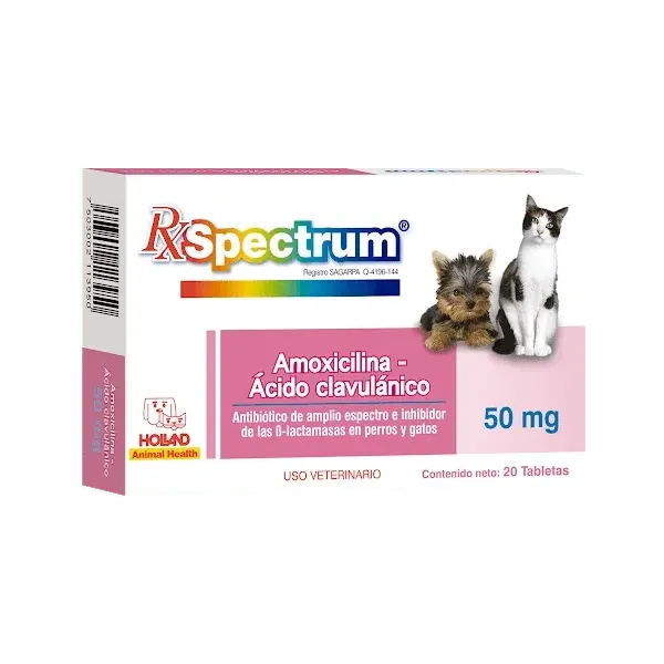 SPECTRUM AMOXICILINA ÁCIDO-CLAVULÁNICO 50 MG