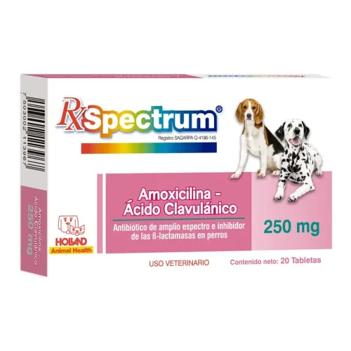 SPECTRUM AMOXICILINA ÁCIDO-CLAVULÁNICO 250MG