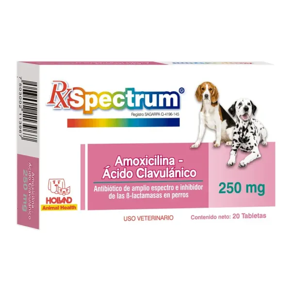 SPECTRUM AMOXICILINA ÁCIDO-CLAVULÁNICO 250MG