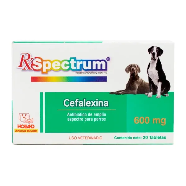 SPECTRUM CEFALEXINA 600MG