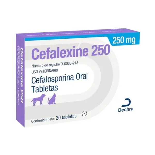 CEFALEXINE 250