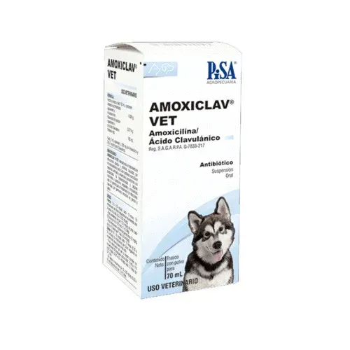 PISA AMOXICLAV VET SUSPENSION