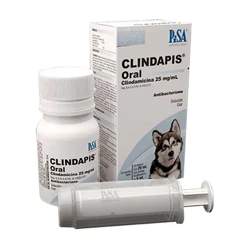 PISA CLINDAPIS SUSPENSION