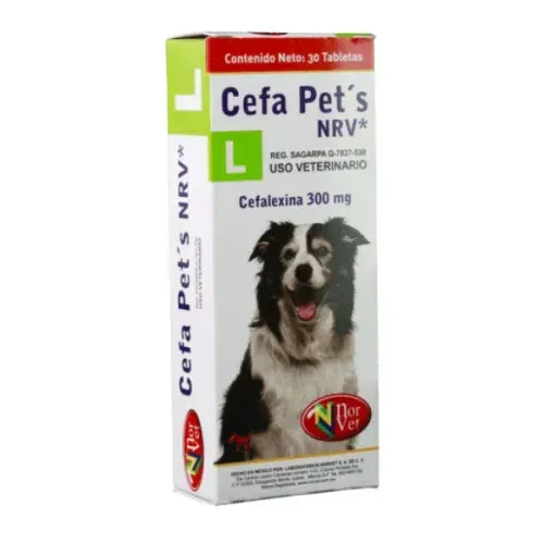 CEFA PETS L 300 MG