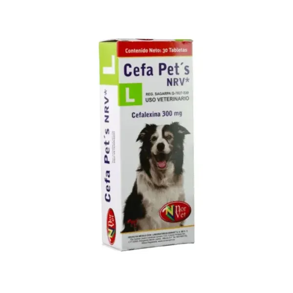 CEFA PETS L 300 MG