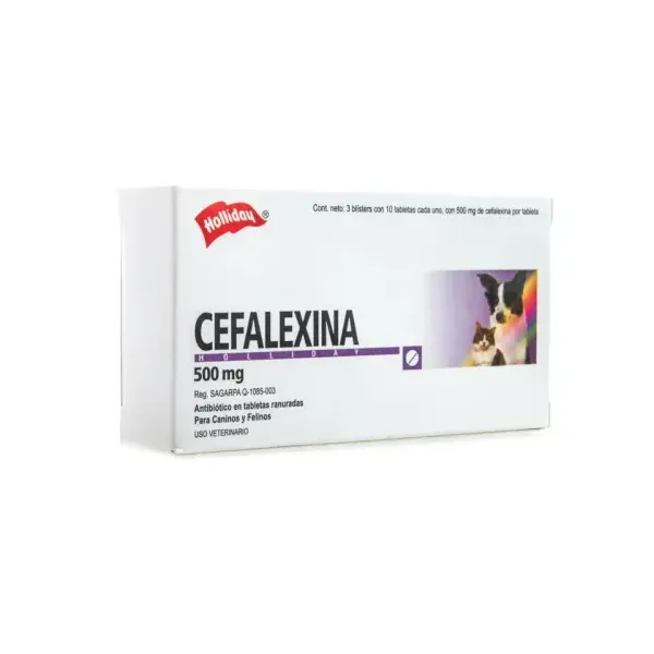 CEFALEXINA 500