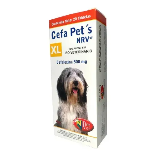 CEFA PETS XL 500 MG