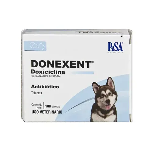 PISA DONEXENT