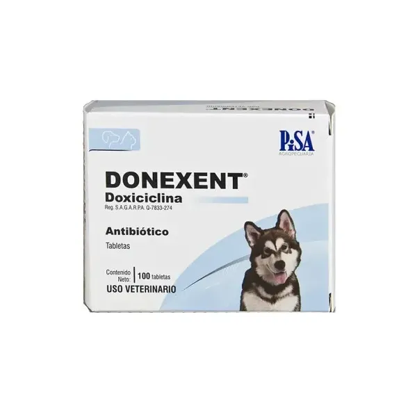 PISA DONEXENT