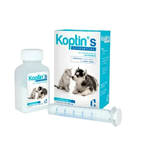 CHINOIN KOPTIN S