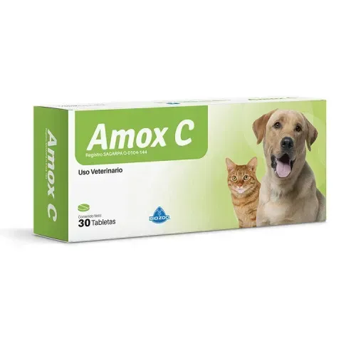 AMOX C