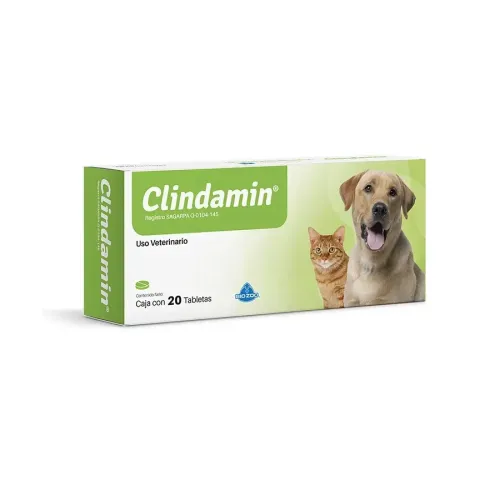 CLINDAMIN