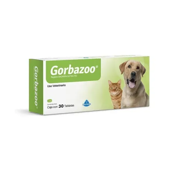 GORBAZOO