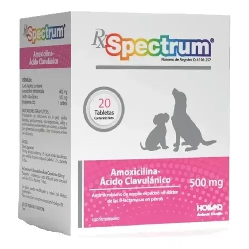 SPECTRUM AMOXICILINA ÁCIDO-CLAVULÁNICO 500 MG